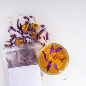 Blue Lotus tea made from dried flowers herbal infusion