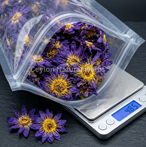 Dried Blue Lotus Flowers for herbal tea natural product