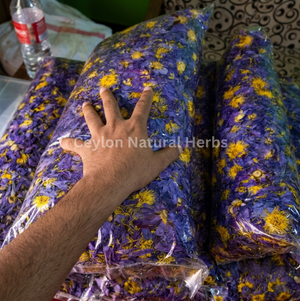 Dried Blue Lotus Flowers for herbal tea natural product