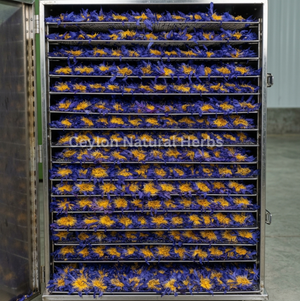 Dried Blue Lotus Flowers for herbal tea natural product