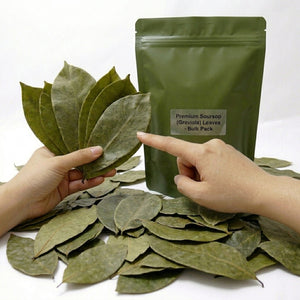 Premium dried soursop leaves (graviola leaves) for herbal tea infusion, natural whole dried leaves 20kg
