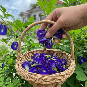 Premium blue butterfly pea flowers powder for herbal tea and natural beverages 1kg