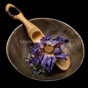 Premium dried Blue Lotus Flowers high quality herbal product