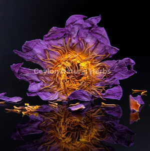 Premium dried Blue Lotus Flowers high quality herbal product