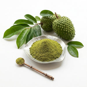 Export quality dried soursop leaves powder for global herbal tea market, premium graviola leaves powder 1kg
