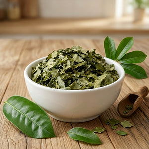 Tropical dried soursop leaves cut pieces for herbal infusion, exotic botanical tea leaves 1kg
