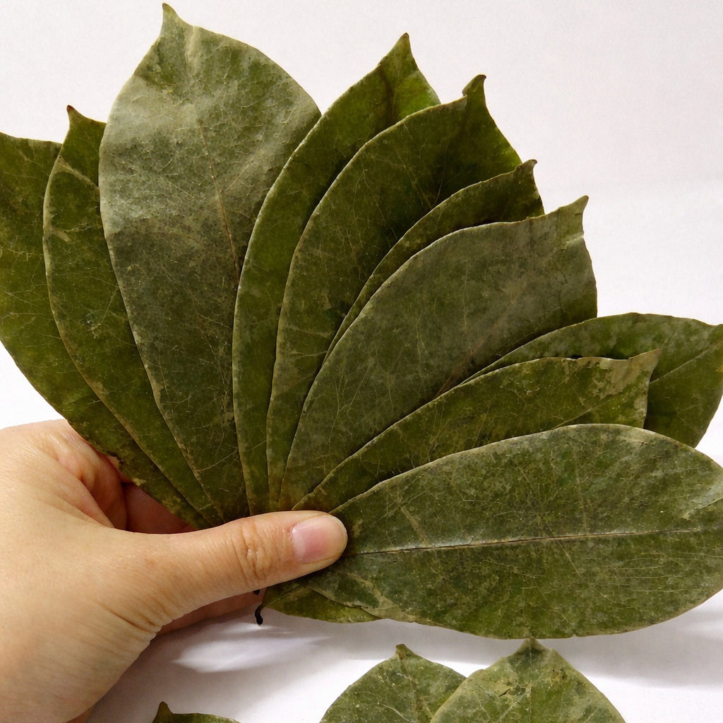 Dried Herbs Whole Leaves
