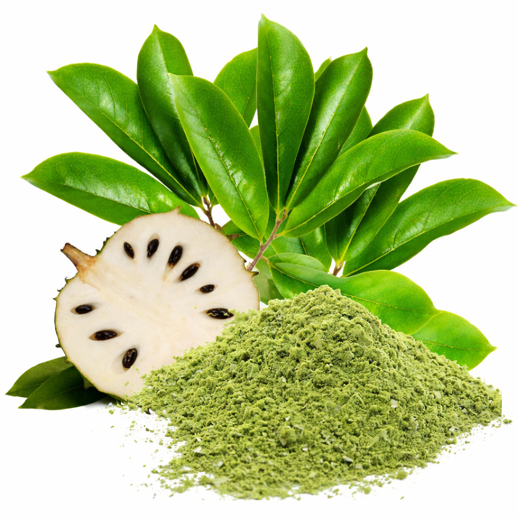 Dried Herbs Leaves Powder