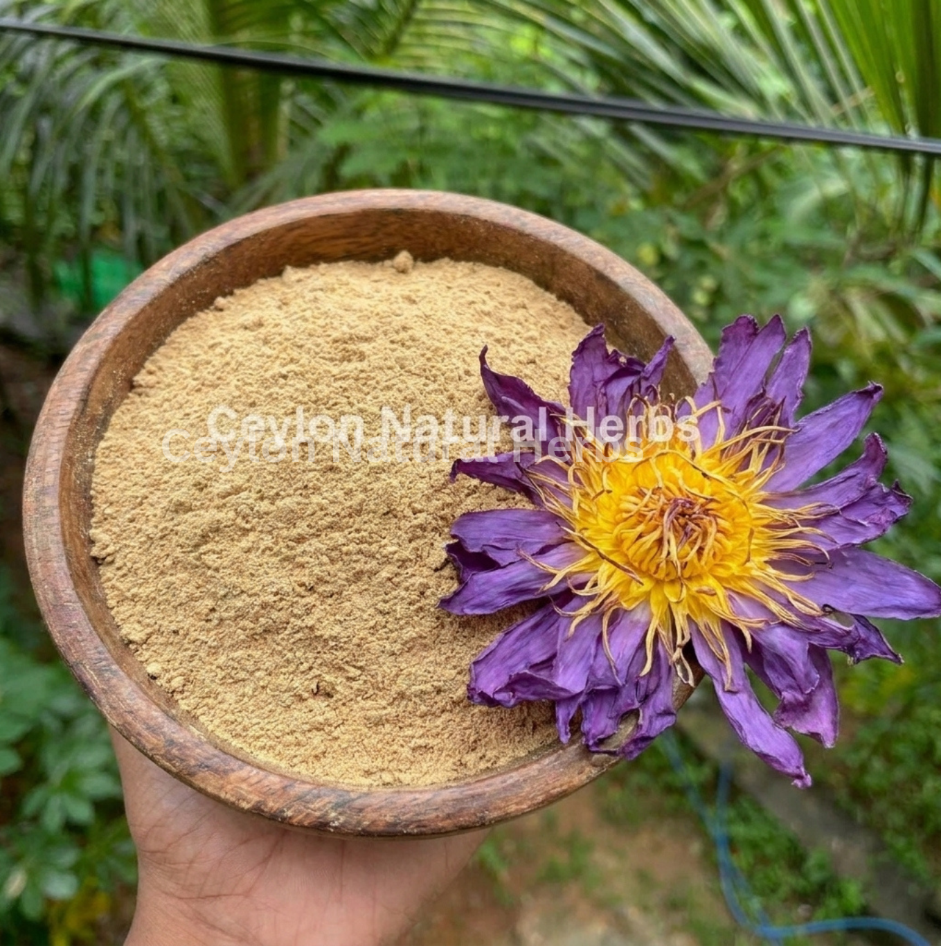 Dried Blue Lotus Flowers Powder for daily herbal tea use