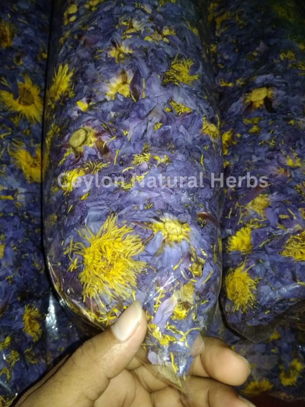 Blue Lotus tea made from dried flowers herbal infusion