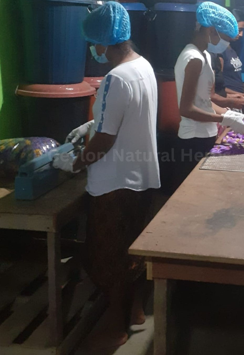 Blue Lotus tea made from dried flowers herbal infusion