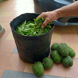 Bulk dried soursop leaves cut pieces for wholesale, high quality graviola leaves supply 20kg