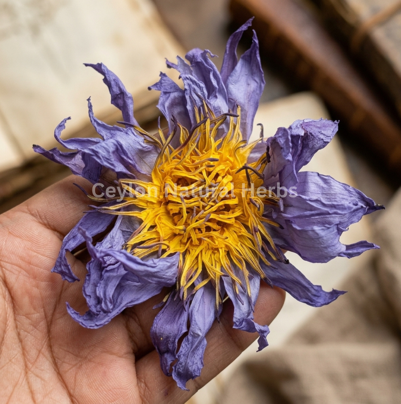 Dried Blue Lotus Flowers for herbal tea natural product