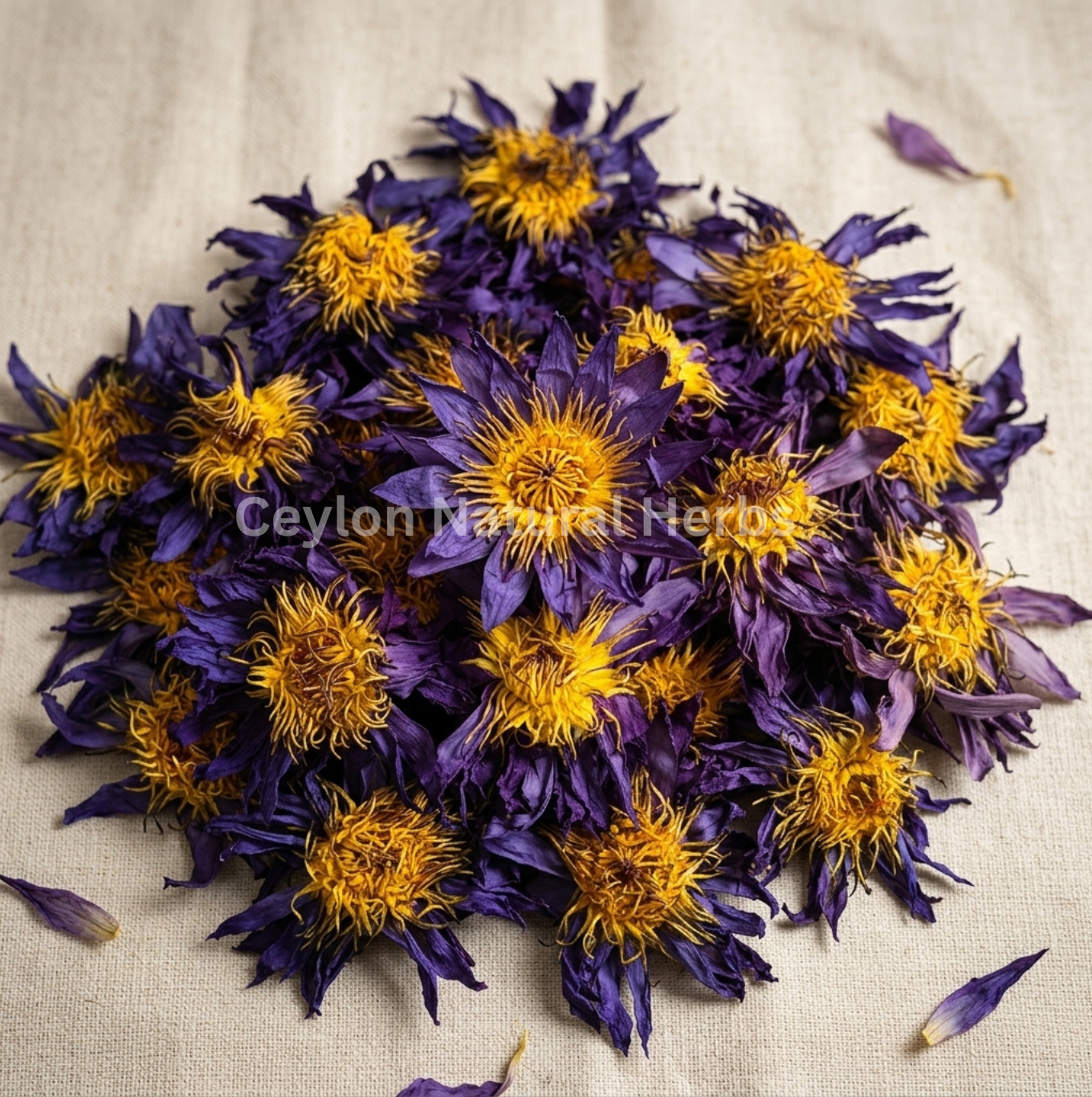 Dried Blue Lotus Flowers for herbal tea natural product
