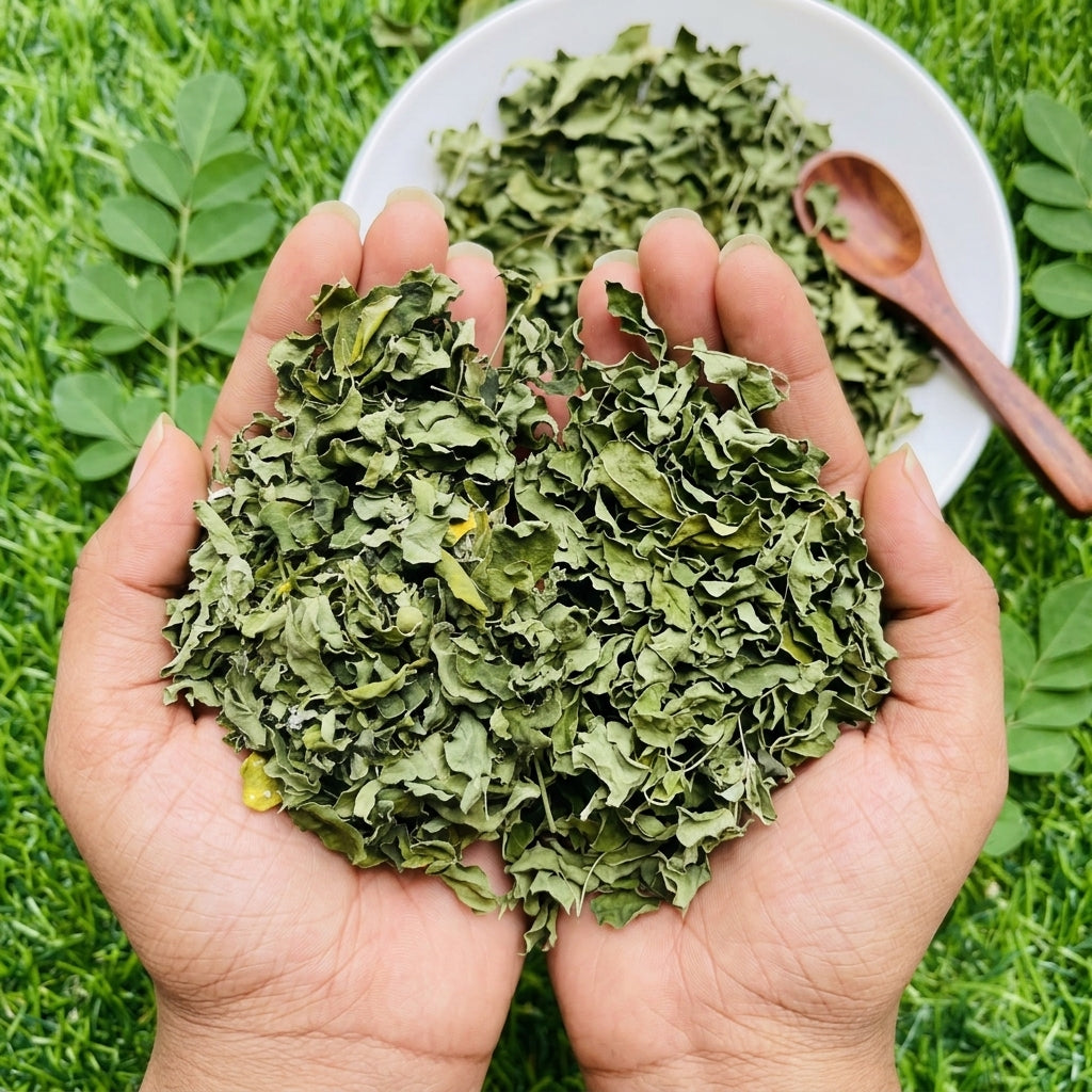 Premium dried moringa leaves for herbal tea, natural whole leaves for clean infusion 20kg