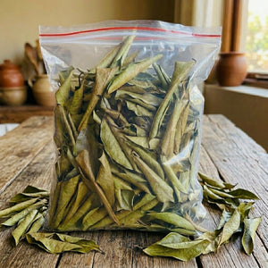 Premium dried soursop leaves (graviola leaves) for herbal tea infusion, natural whole dried leaves 20kg