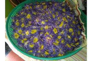 Natural dried Blue Lotus Flowers Petals pure herbal tea ingredient