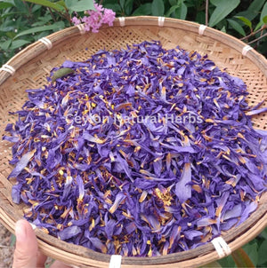 Natural dried Blue Lotus Flowers Petals pure herbal tea ingredient