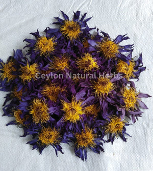 Natural dried Blue Lotus Flowers Petals pure herbal tea ingredient