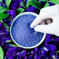 Organic butterfly pea flowers powder dried for floral tea and herbal infusion 20kg