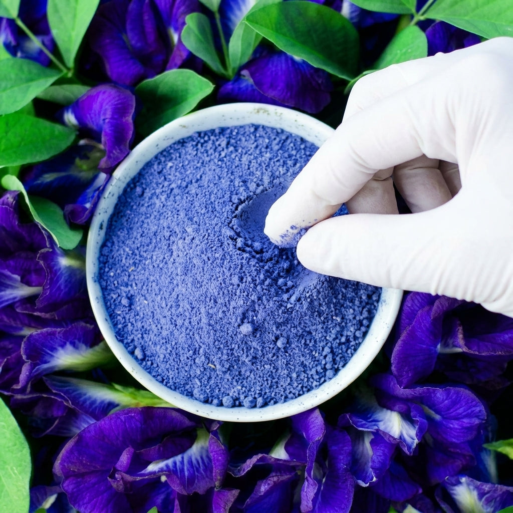 Organic butterfly pea flowers powder dried for floral tea and herbal infusion 20kg