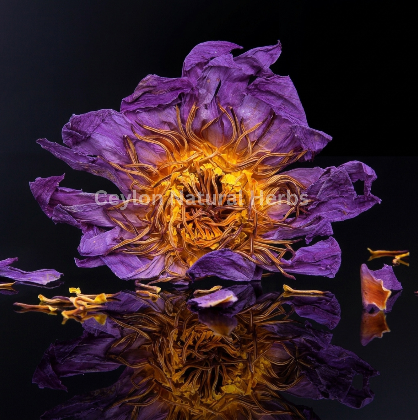 Premium dried Blue Lotus Flowers high quality herbal product