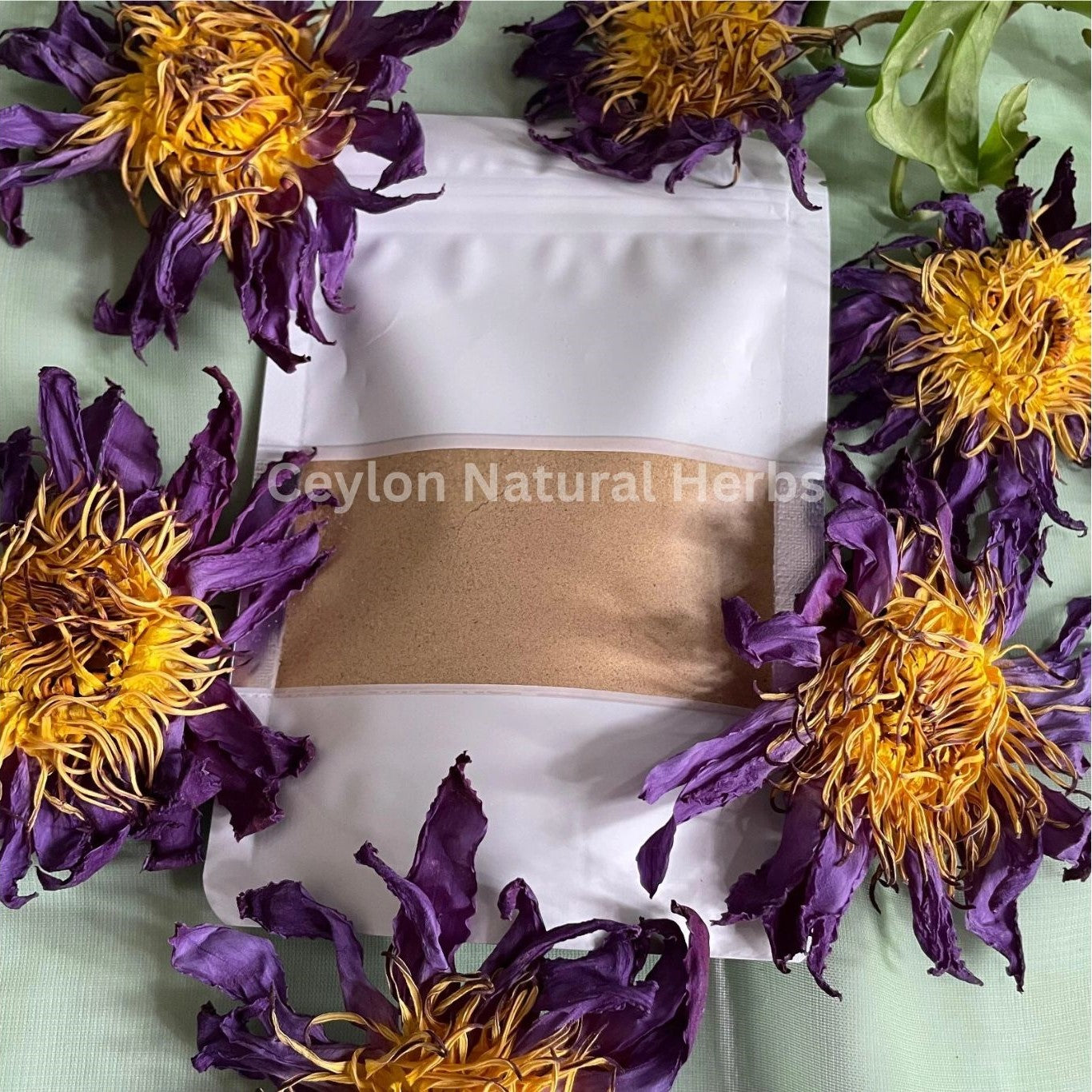 Pure dried Blue Lotus Flowers Powder natural herbal tea product