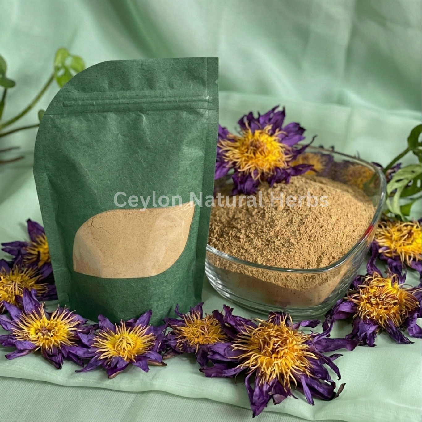 Pure dried Blue Lotus Flowers Powder natural herbal tea product