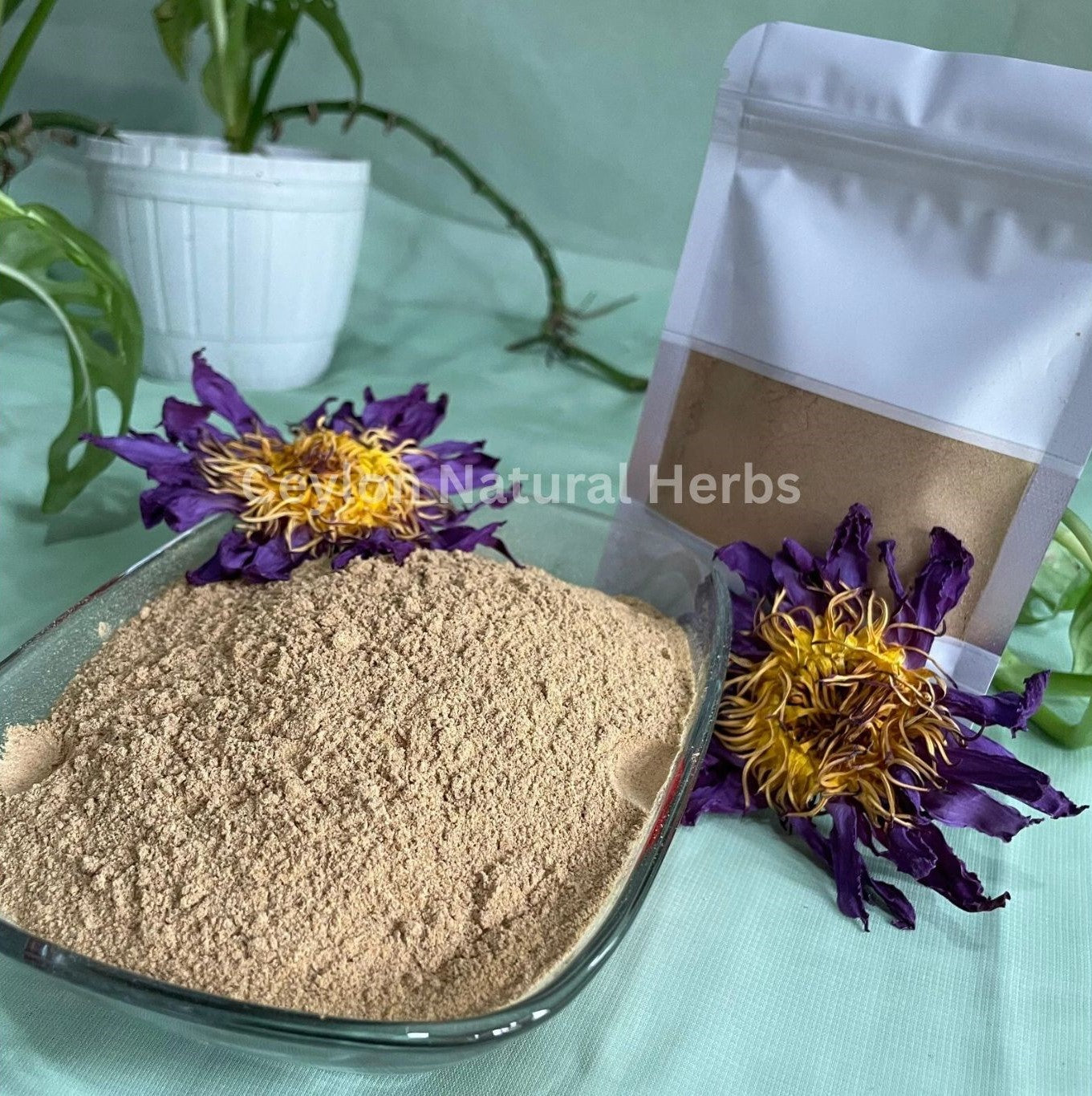 Pure dried Blue Lotus Flowers Powder natural herbal tea product