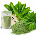 Export quality dried soursop leaves powder for global herbal tea market, premium graviola leaves powder 1kg

