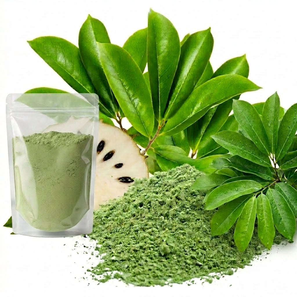 Export quality dried soursop leaves powder for global herbal tea market, premium graviola leaves powder 1kg
