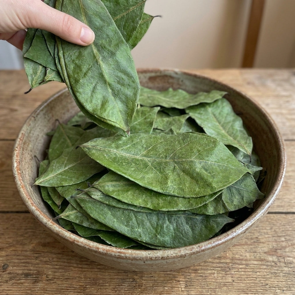 Dried soursop leaves for herbal tea, loose leaf graviola infusion, natural caffeine-free drink 1g