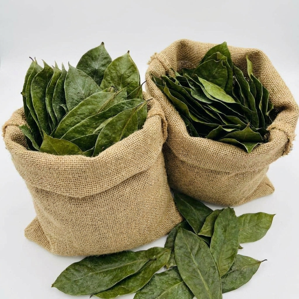 Dried soursop leaves for herbal tea, loose leaf graviola infusion, natural caffeine-free drink 1g